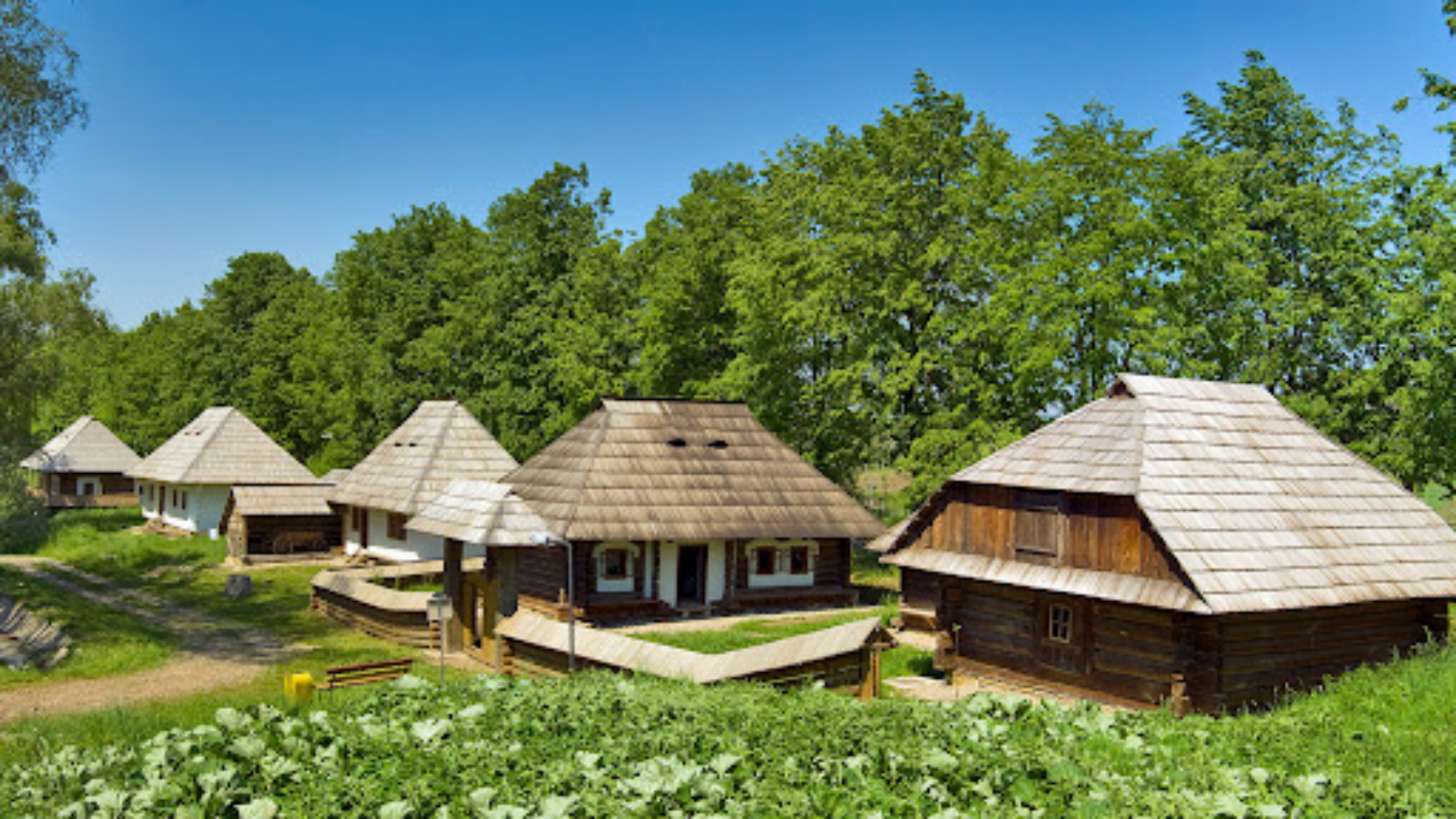 muzee muzeu in Suceava Muzeu bucovina